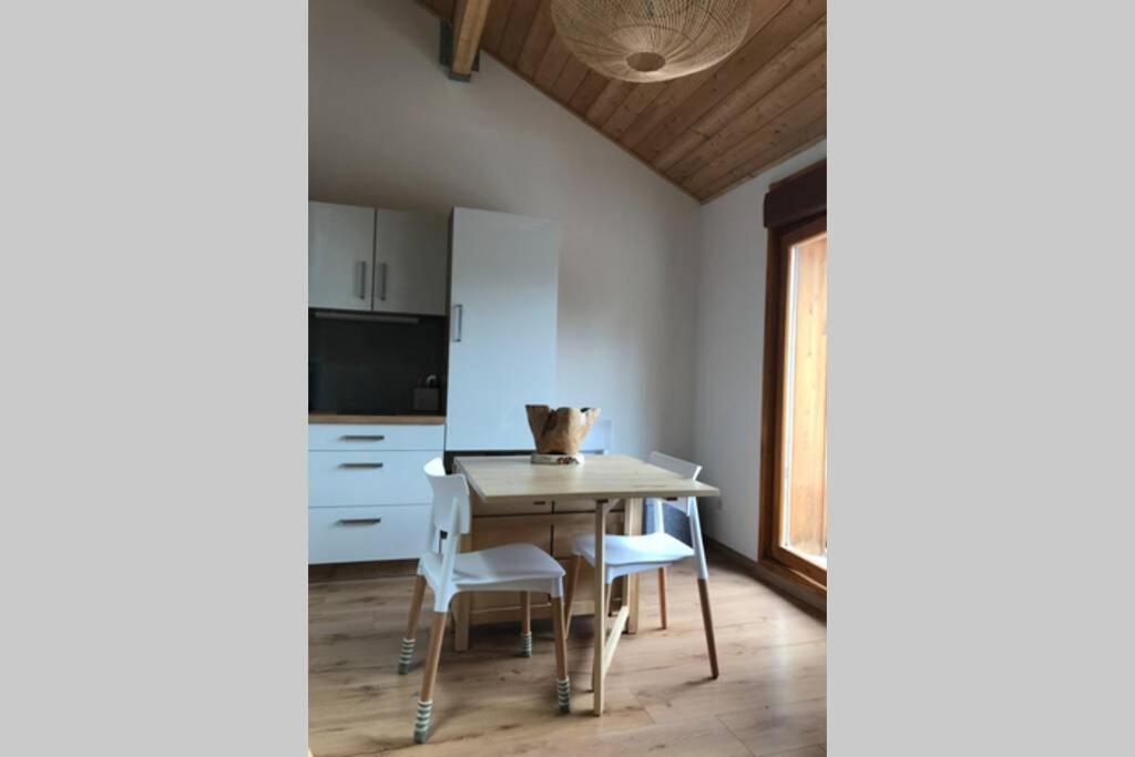 Saint-Étienne-en-Dévoluy Magnifique Appartement A La Joue Du Loup מראה חיצוני תמונה
